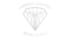 Saamtrek-3D-Logo-WHite