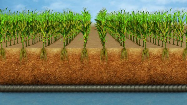 STILLS - Water Table Management1