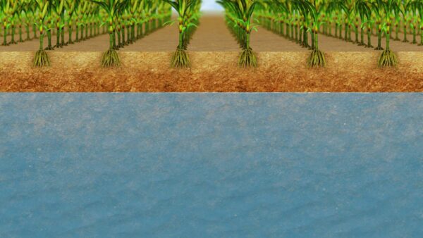 STILLS - Water Table Management2