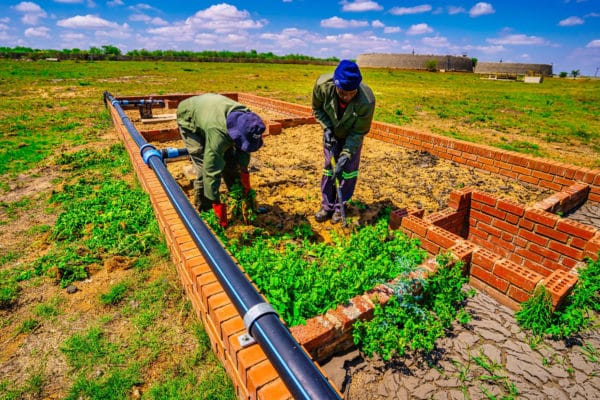 2021-10-19 Ventersdorp - Water Treatment Facility (40)