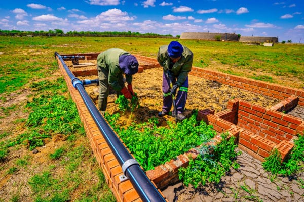 2021-10-19 Ventersdorp - Water Treatment Facility (41)