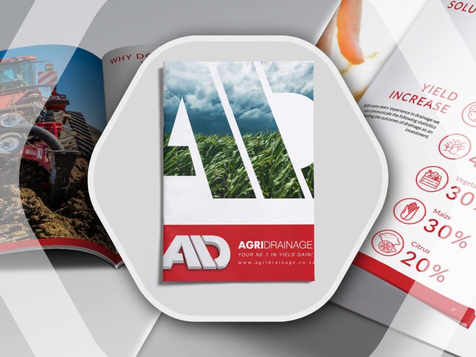 Get a Company Profile Designed to Impress 59
