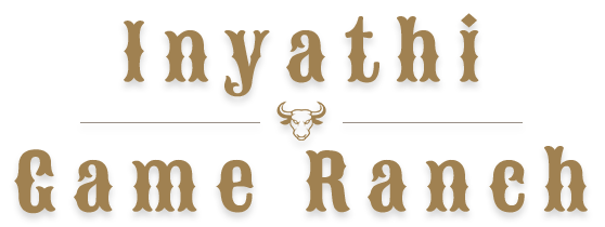 Inyathi Game Ranch 13