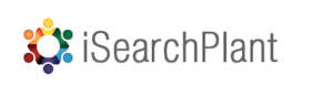 iSearch - Original