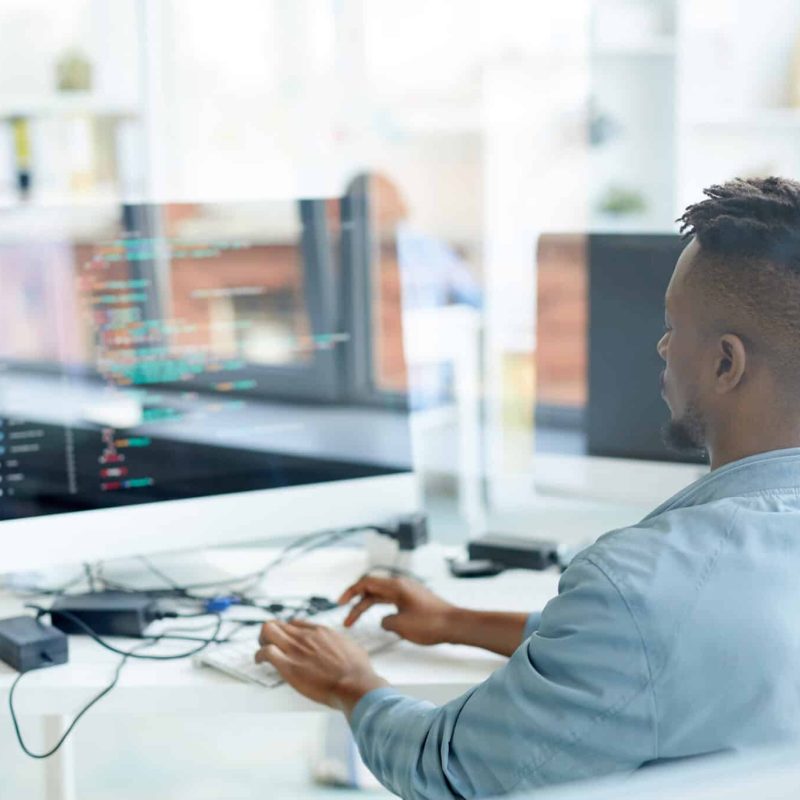 Back view of young African-american specialist testing new software while sitting in fornt of computer monitor